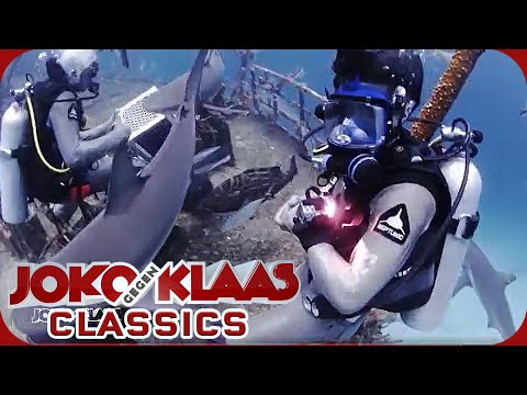 Bahamas: PANIC! Klaas gets bitten by a shark! | Duel Around the World Classics | ProSieben