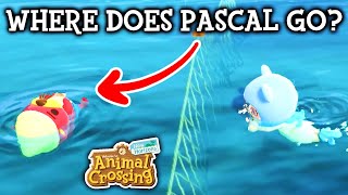 Following Pascal Past The Ocean Barrier | Animal Crossing New Horizons