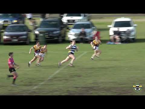 2019 Group 7 LLT Division 1 Round 10 Highlights - Berry-Shoalhaven Heads vs Shellharbour Sharks