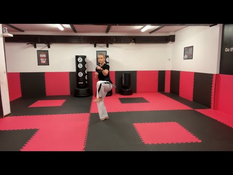 WON-HYO TUL STEP BY STEP 4TH ITF TAEKWONDO PATTERN