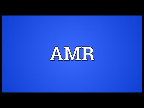 AMR Meaning