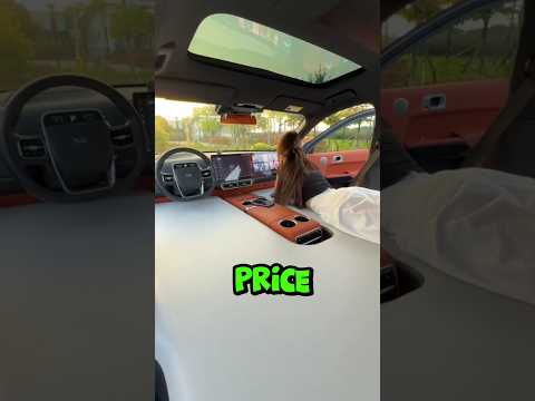 This electric car from china is better than tesla