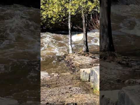 Ocqueoc Falls: Exploring the Rushing Water