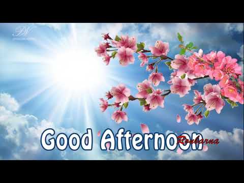  Good afternoon photos whatsapp