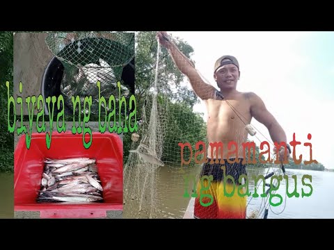 #pamamanti #bagyongfabian #catchandcook #jayrtv pamamanti ng bangus/catch and cook