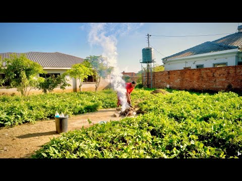 I cooked Zimbabwean traditional fudges (mafagi)