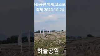 하늘공원,억새.코스모스축제.2023.10.24