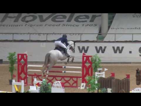 Holsteiner Stute ESTELLE von Companiero *2012