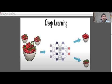 Intro to Deep Learning Techniques (DLT) — RVIT