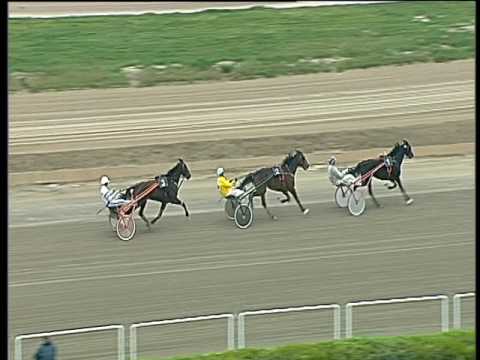 Trotto 02/04/2017 - prova di qualifica