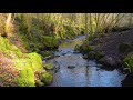 Nature Sound Effects - Water Stream in the River SFX Audio Background