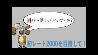 [ポケモンXY]   色違い縛り　いつでも　1/4096 リセット98～