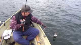 Jackall squad minnow sp 95