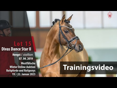 Winter Online-Auktion Training Lot15 Divas Dance Star II Hengst v.Dance Star AT NRW-Dimension AT NRW