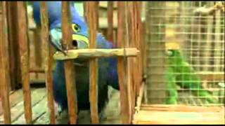 Download lagu Mishary Alafasy - Agheebo.flv mp3