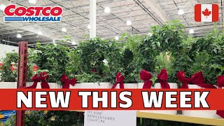 Must-Buy Products at Costco | COSTCO CANADA Shopping