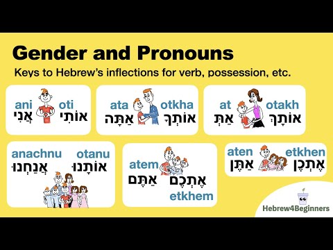 Gender and Pronouns as Keys to Hebrew Verb Conjugations and Possessive Forms