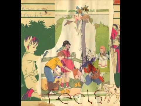 Did You See the Words - Animal Collective