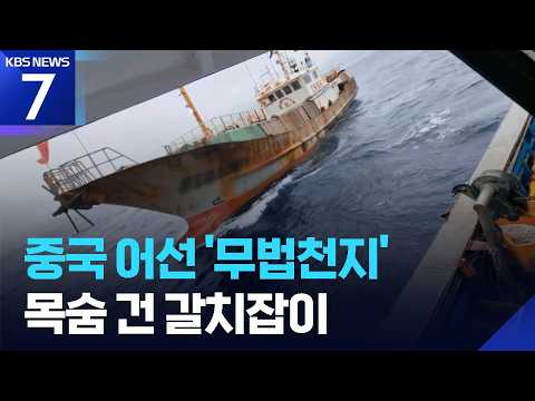 충돌 위협에 어구 절단까지…중국어선 횡포에 갈치잡이 포기 위기 / KBS 2026.07.13.