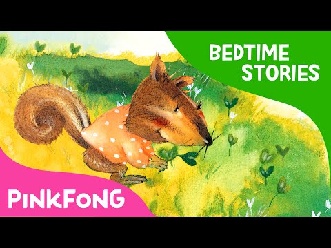 Four Seasons of the Forest | Bedtime Stories | PINKFONG Story Time for Children