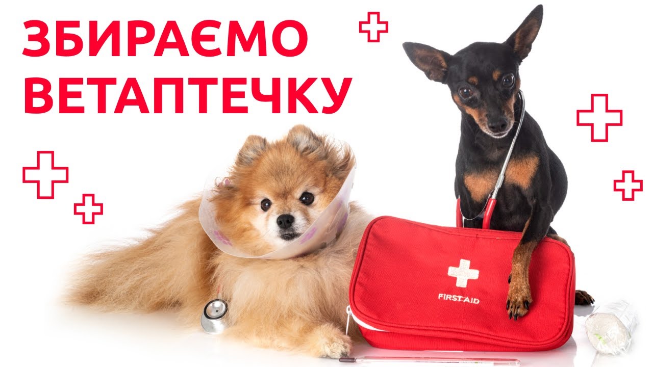 YouTube video preview