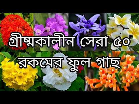গ্রীষ্মকালীন সেরা ৫০ রকমের ফুল গাছ | নামসহ | Top 50 Summer flowers plants ||#o2 ||