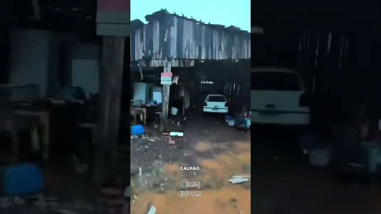 Galpão de vacas é totalmente destruído após chuvas no RS