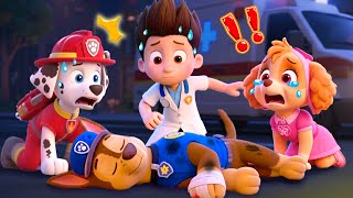 Download lagu What Happened?! CHASE, Please Wake Up! Don't Leave Paw Patrol! | Paw Patrol 3D Animation mp3 Download lagu What Happened?! CHASE, Please Wake Up! Don't Leave Paw Patrol! | Paw Patrol 3D Animation mp3