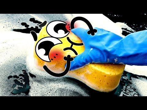 THESE FRUITS AND THINGS ARE ABSOLUTELY CRAZY! TRY NOT TO LAUGH - 24/7 DOODLES Video