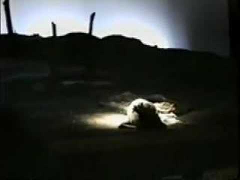 Graciela de Gyldenfeldt: Aus unsern Taten