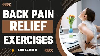 Lower Back Exercises for Lower Back Pain Relief Stretches for Lower Back Strengthening Rehab