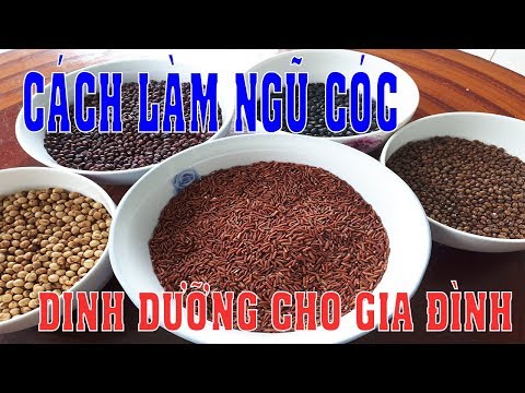 , title : 'Bột Ngũ Cốc, Cách làm BỘT NGŨ CỐC các LOẠI ĐẬU dinh dưỡng - Xanh TV'