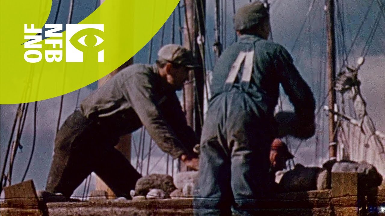 Why did the Scots settle in Nova Scotia? Tipseri