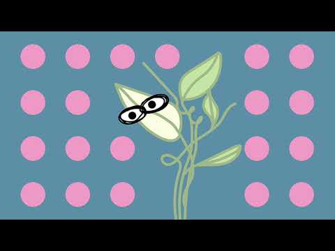 [FREE] Yung Bans x Playboi Carti x Duwap Kaine type beat "White Leaf" ~ prod.Bleeesh