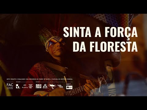 Sinta A Força da Floresta
