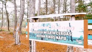 preview picture of video 'Wisata alam hutan pinus napu kab. Poso PPKn angkatan 2017 Untad'