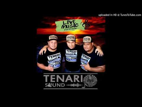TENARI SOUND - LD 10 DANCE MONKEY