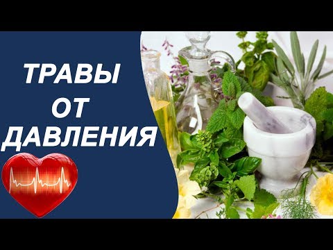 [PUNIQRANDLINE-(au-dating-names.txt) 40 Лекарственные растения при гипертонии реферат 5784