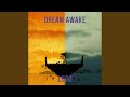 Dream awake