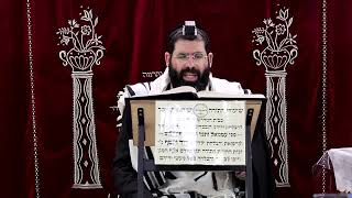 זבחים דף פ"ט ע"ב ¤ הרב נתנאל אברז'ל ¤ בית הכנסת "בית מרדכי" (מוסדות תורת דוד) - התמונה מוצגת ישירות מתוך אתר האינטרנט יוטיוב. זכויות היוצרים בתמונה שייכות ליוצרה. קישור קרדיט למקור התוכן נמצא בתוך דף הסרטון