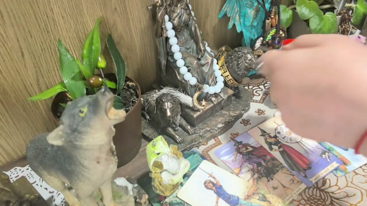 Кто с вами в кошки 😾 мышки 🐭 играет ? Ух ты класс бумерангами их накрывает !