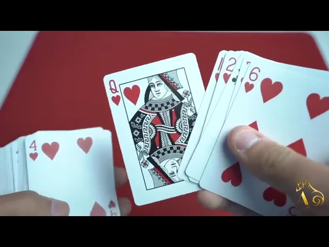 Vídeo relacionado con Bicycle Double Blank Face Deck by US Playing Card Co.