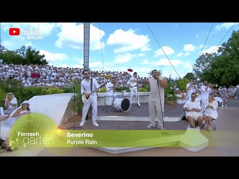 Severino - Purple Rain (Fernsehgarten 16.07.2023)