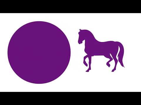 Rheoliadau Adnabod Ceffylau