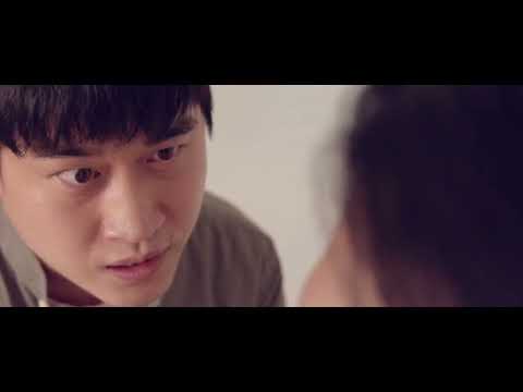 비디오 17