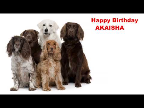 Akaisha  Dogs Perros - Happy Birthday