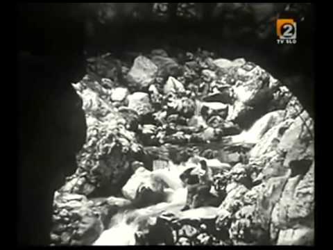 Andrej Blumauer - Orglice