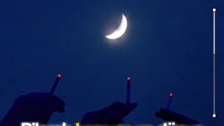 Şanışer - Ne İçin Yaşıyorum