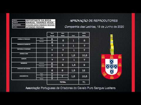 200619 7 Importante da Broa - Aprovação de Garanhões