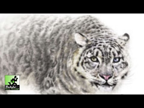 Rahdo Runs Down►►► The Sanctuary: Endangered Species